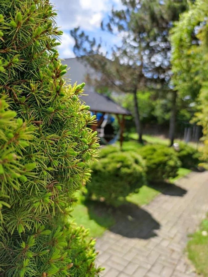 Penzión Roal Pieniny Hotel Spisska Stara Ves Exterior foto