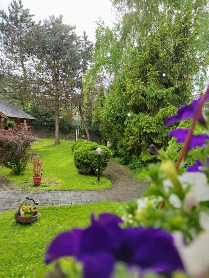 Penzión Roal Pieniny Hotel Spisska Stara Ves Exterior foto