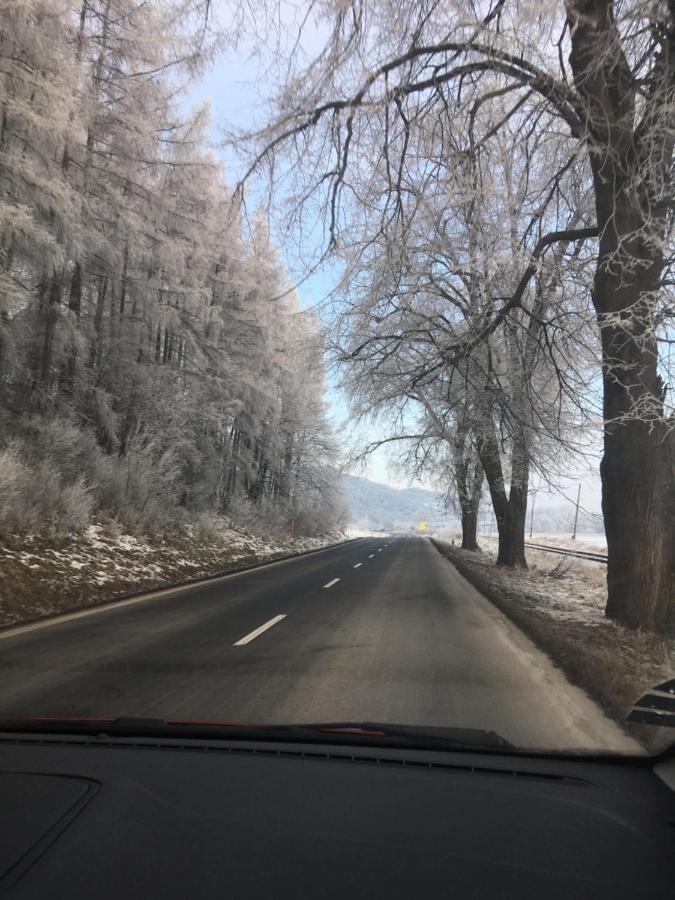 Penzión Roal Pieniny Hotel Spisska Stara Ves Exterior foto