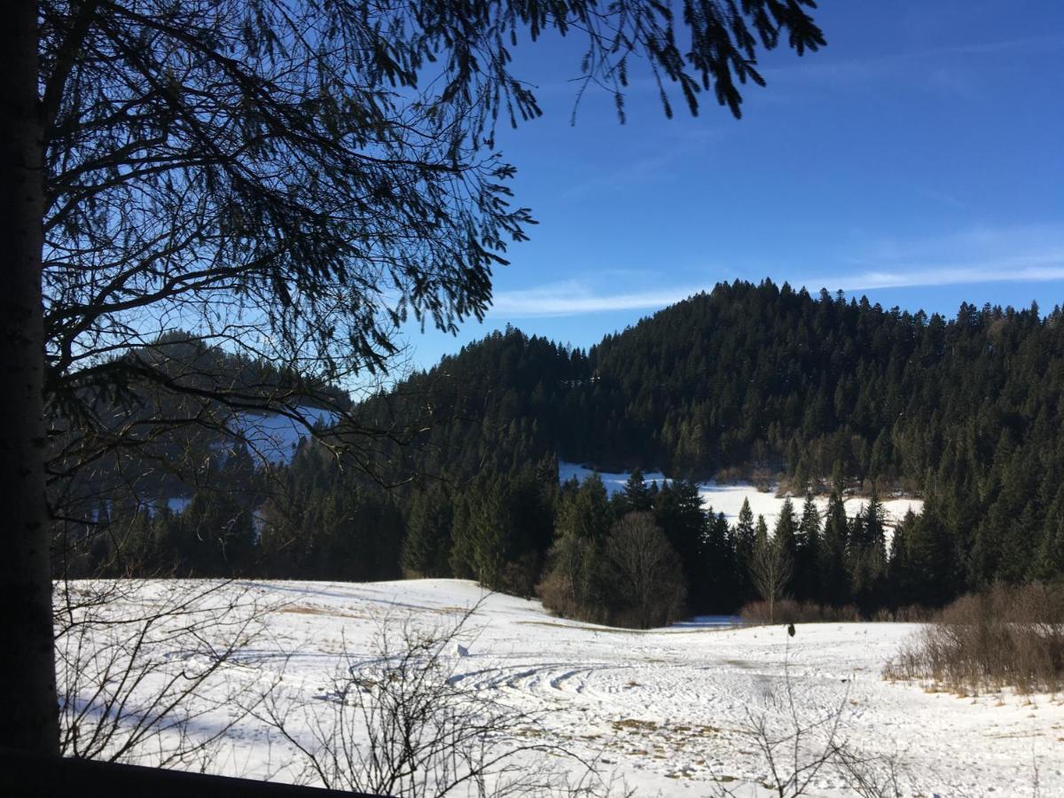 Penzión Roal Pieniny Hotel Spisska Stara Ves Exterior foto